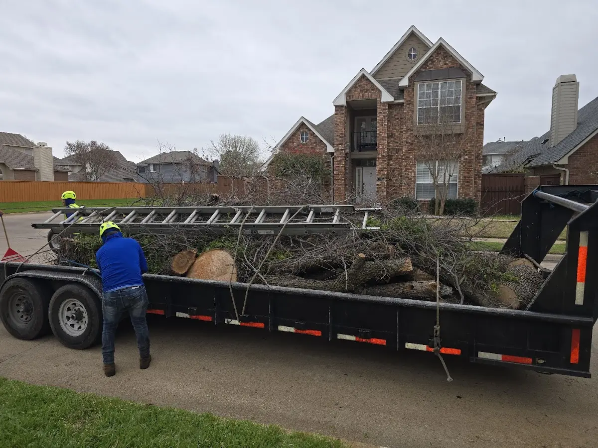 Expert Tree Fertilization with proper safety equipment in Catasauqua